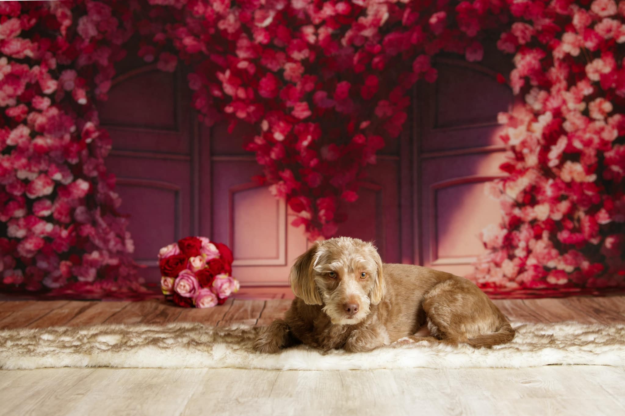 Kate Pet Valentine Flower Heart Door Backdrop Designed by Mini MakeBelieve