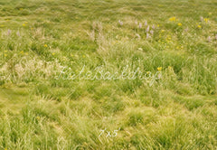 Kate Spring Light Green Meadow Grass Wildflowers Floor Printed Backdrop Designed by Kate Image