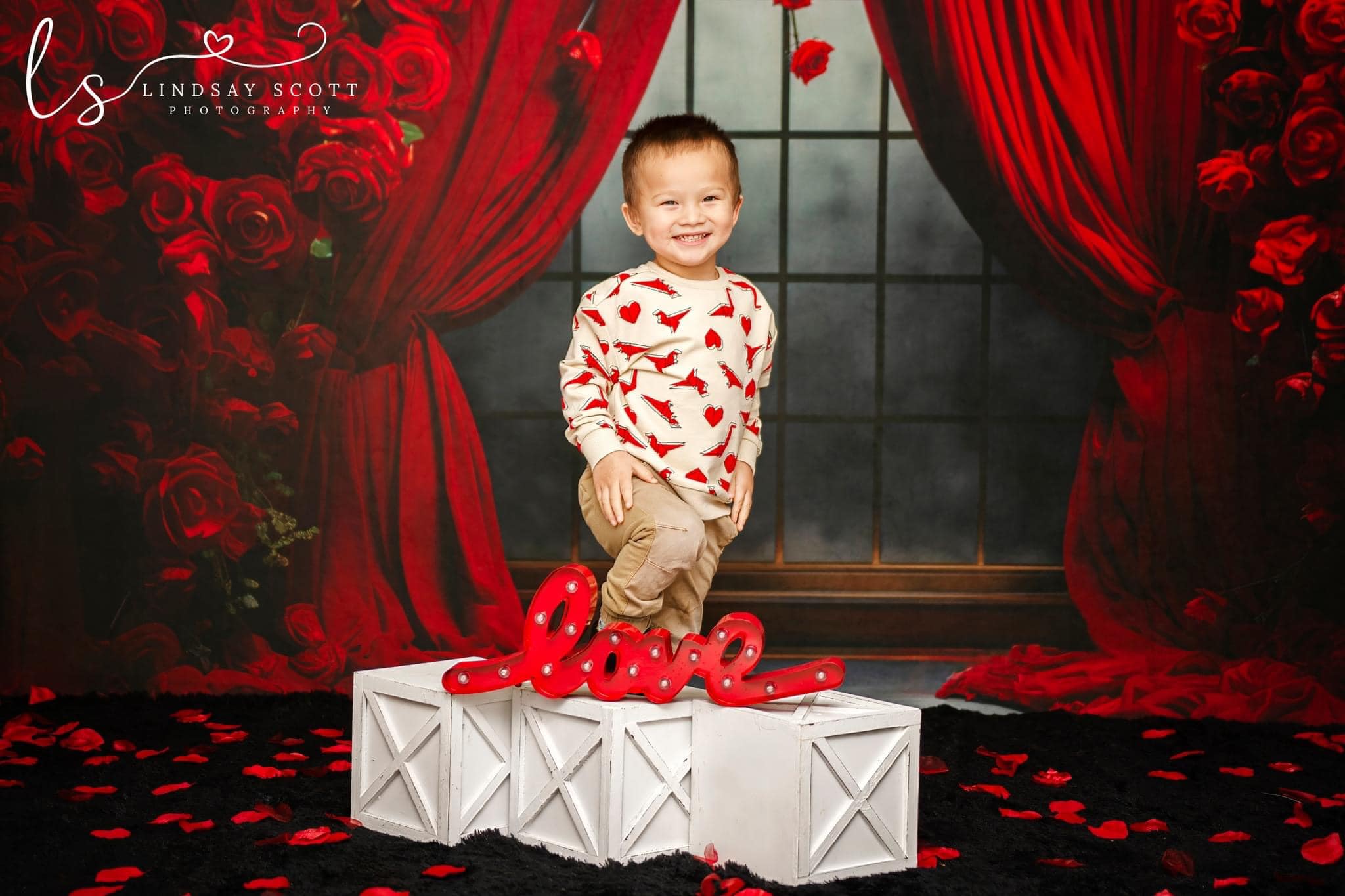 Kate Valentine's Day Rose Curtains Backdrop Designed by Mini MakeBelieve
