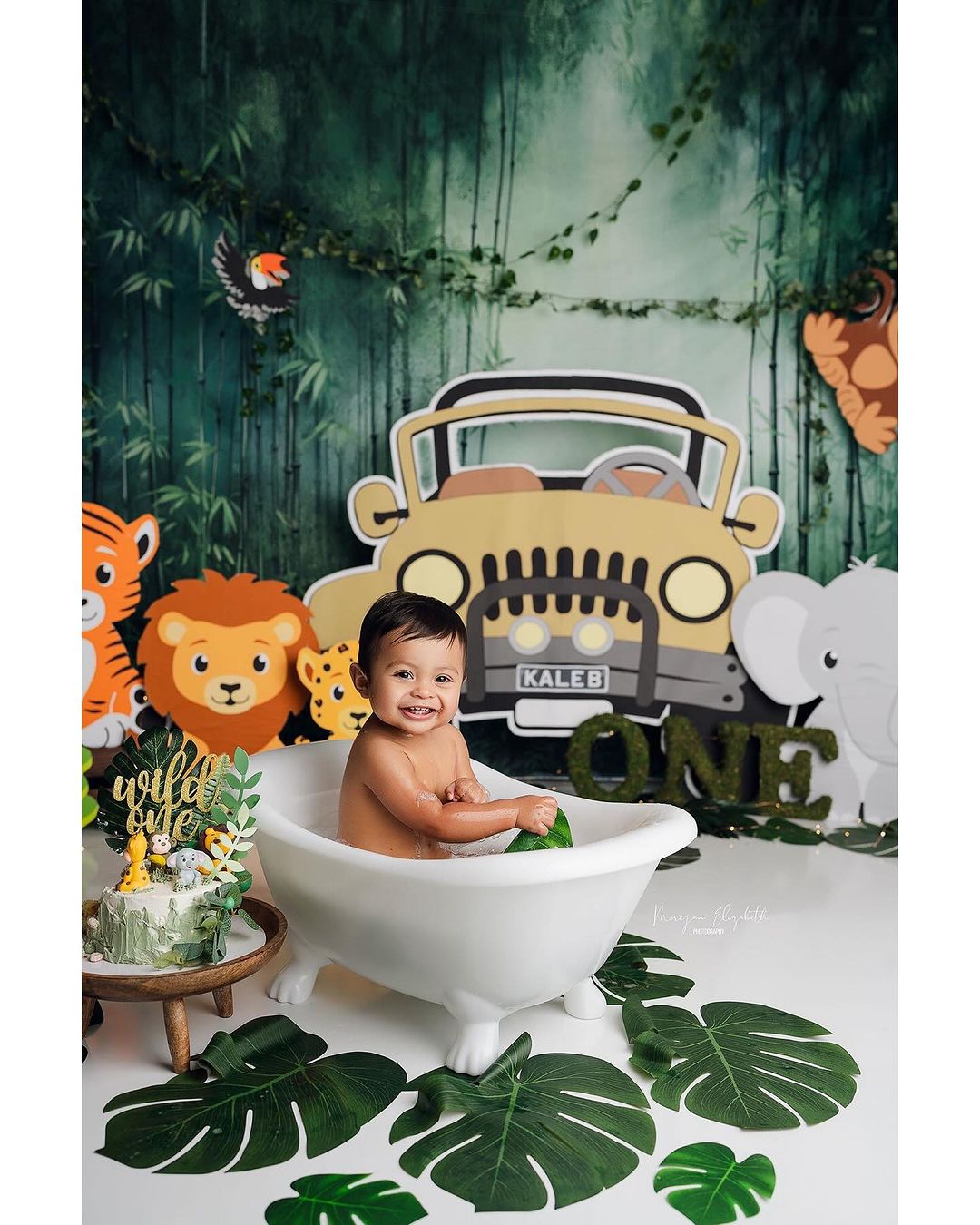 Kate Green Jungle Adventure Backdrop for Photography