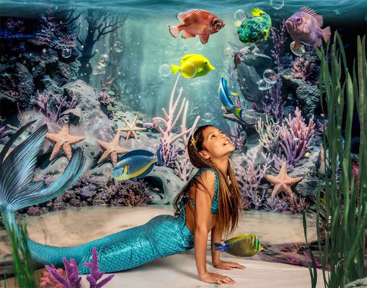 8x8ft Ocean Fish Underwater World Photography Backdrop LV-476 (only 1) –  Dbackdrop