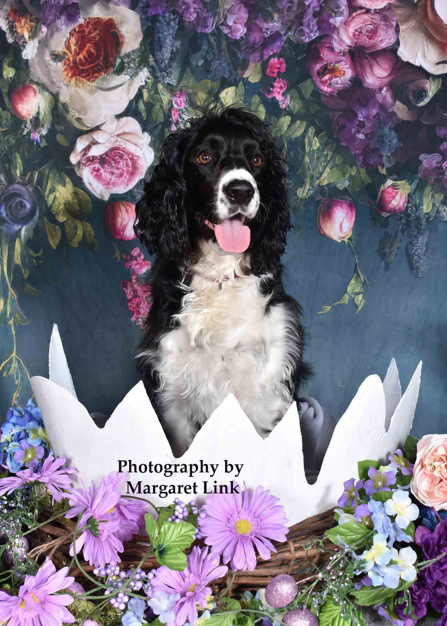 Kate Pet Spring Fine Art Oil Painterly Floral Dark Teal Backdrop Designed by Mini MakeBelieve