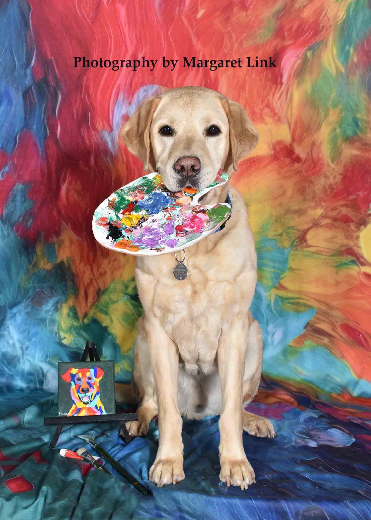 Kate Pet Abstract Rainbow Paint Backdrop Designed by Mandy Ringe Photography