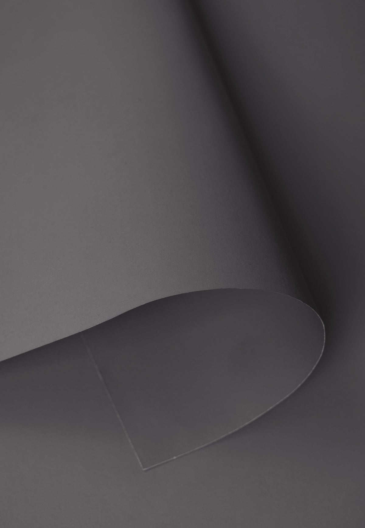 Kate Dove Gray Seamless Paper Backdrop for Photography