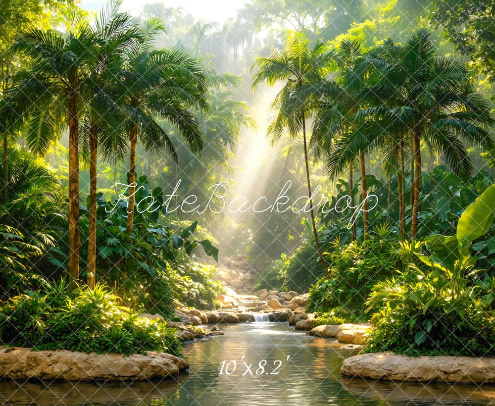 Kate Jungle Sun Rays Stream Rocks Printed Backdrop Designed by Mini MakeBelieve