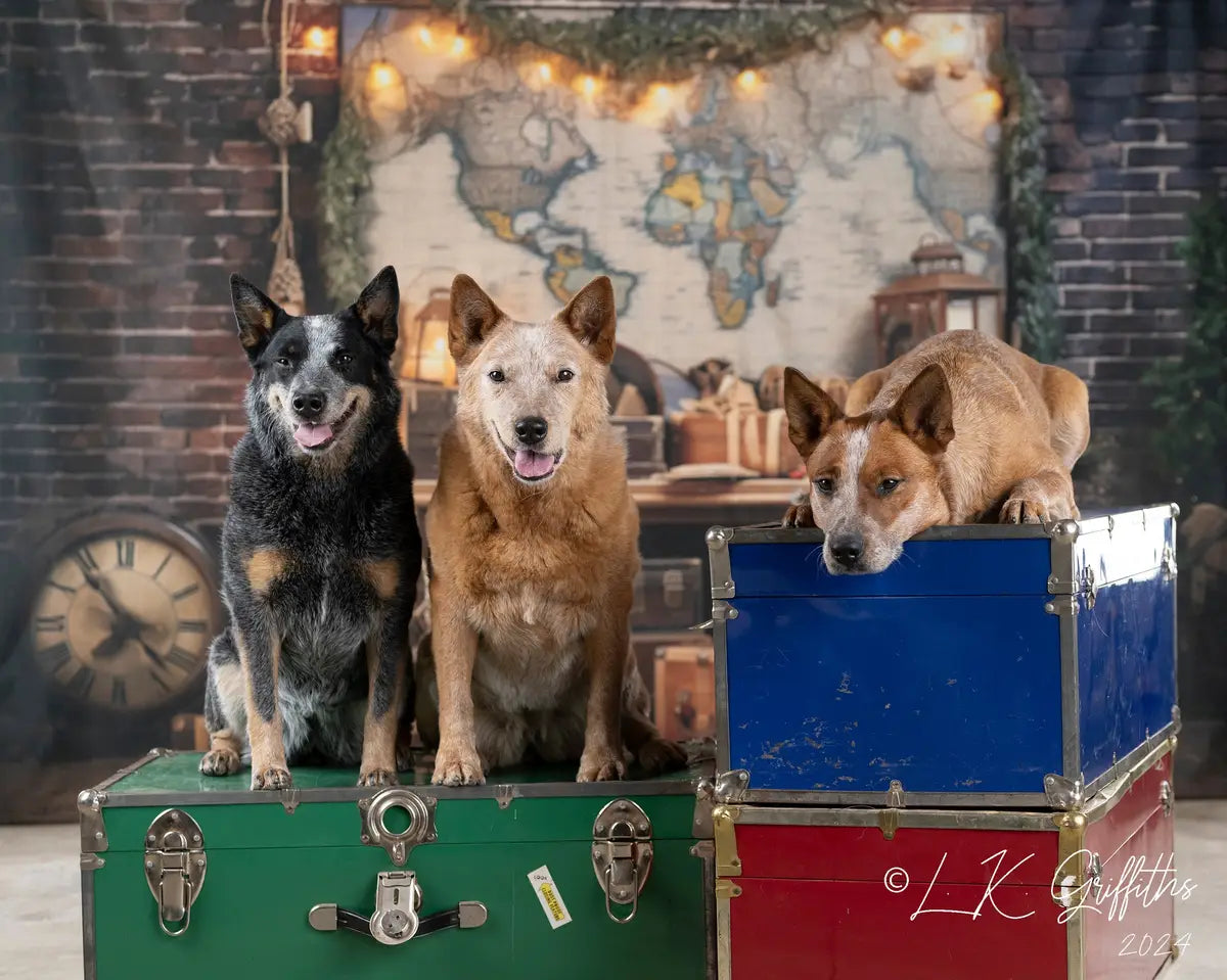 Kate Travel the World Map Backdrop Designed by Emetselch