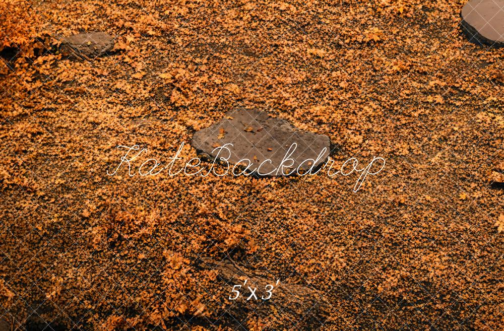 Kate Fall Forest Floor Backdrop Designed by Kate Image