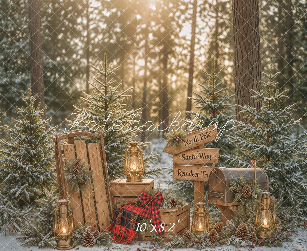 Kate Christmas Winter Forest Pine Trees Lantern Wood Sled Mailbox Signpost Printed Backdrop Designed by Emetselch