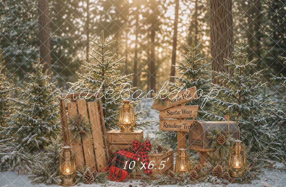 Kate Christmas Winter Forest Pine Trees Lantern Wood Sled Mailbox Signpost Printed Backdrop Designed by Emetselch