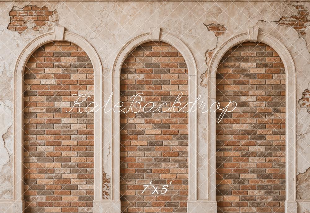 TEST Kate Vintage Brick Arched Wall Printed Backdrop Designed by Emetselch