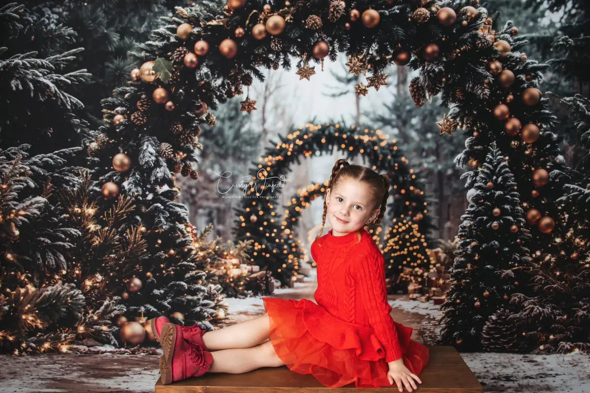 Kate Christmas Tree Archway Forest Backdrop+Winter Snowy Path Floor Backdrop
