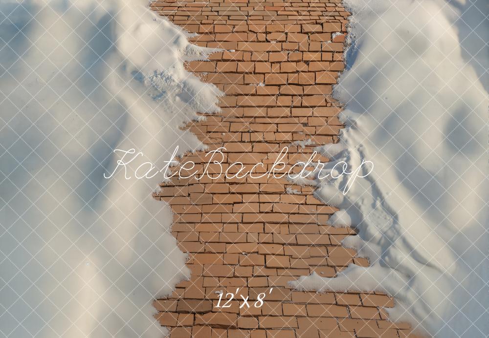 Kate Winter Brick Path Snow Floor Backdrop Designed by Emetselch