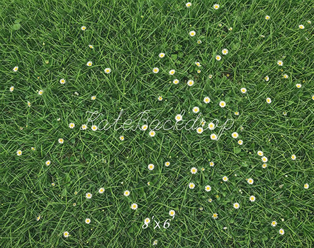 Kate Green Grass Daisy Flowers Floor Backdrop Designed by Kate Image
