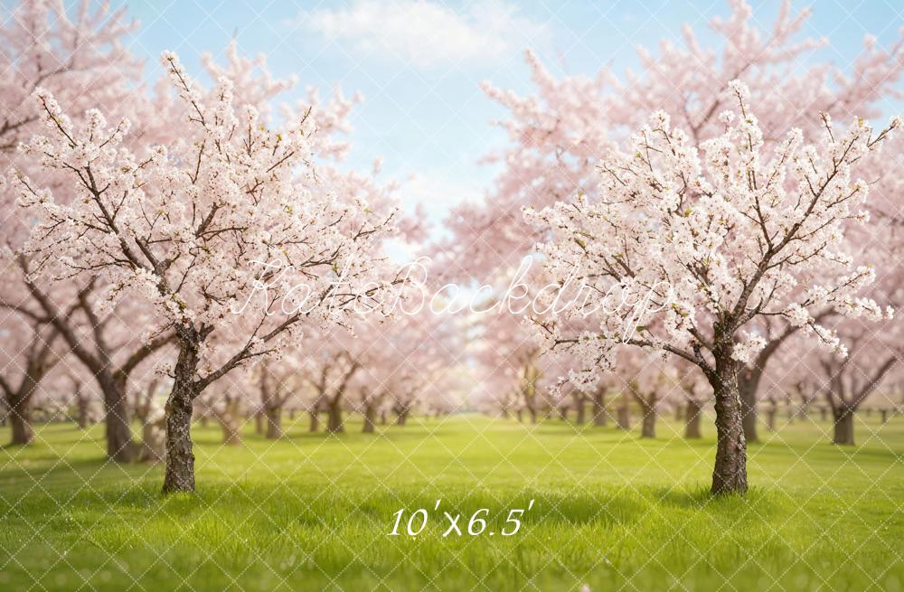 Kate Spring Cherry Blossom Orchard in Spring Backdrop Designed by Emetselch