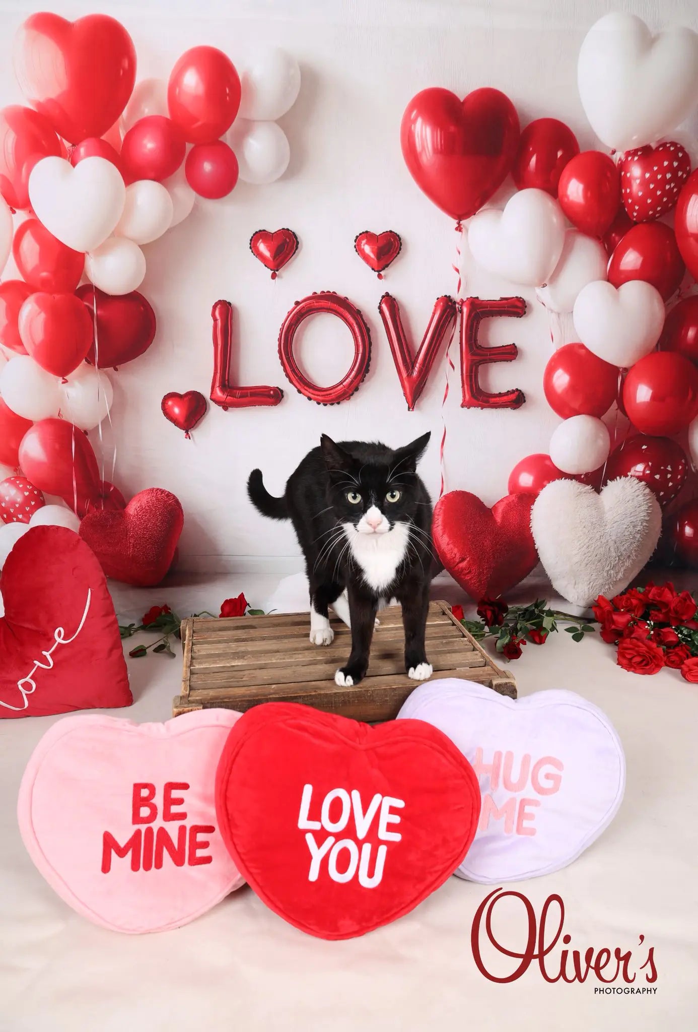 Kate Valentine Love Heart Balloons Arch Backdrop Designed by Emetselch