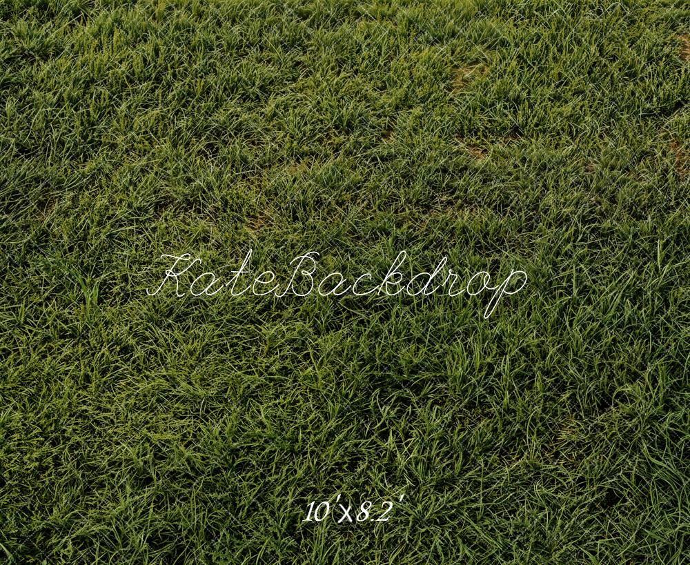 Groene Gras Gazon Foto Achtergrond Ontworpen door Emetselch