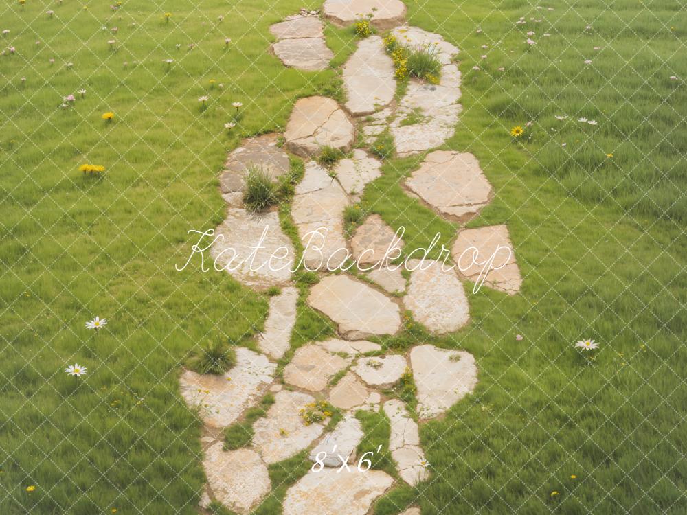 Kate Stone Pathway With Daisies On Green Grass Floor Backdrop Designed by Emetselch