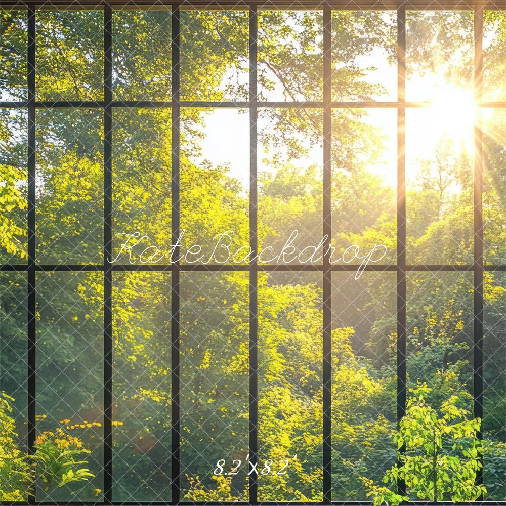 Sunlit Greenery Window View Backdrop