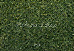 Groene Bladerige Wand Foto Achtergrond Designed by Kate Image