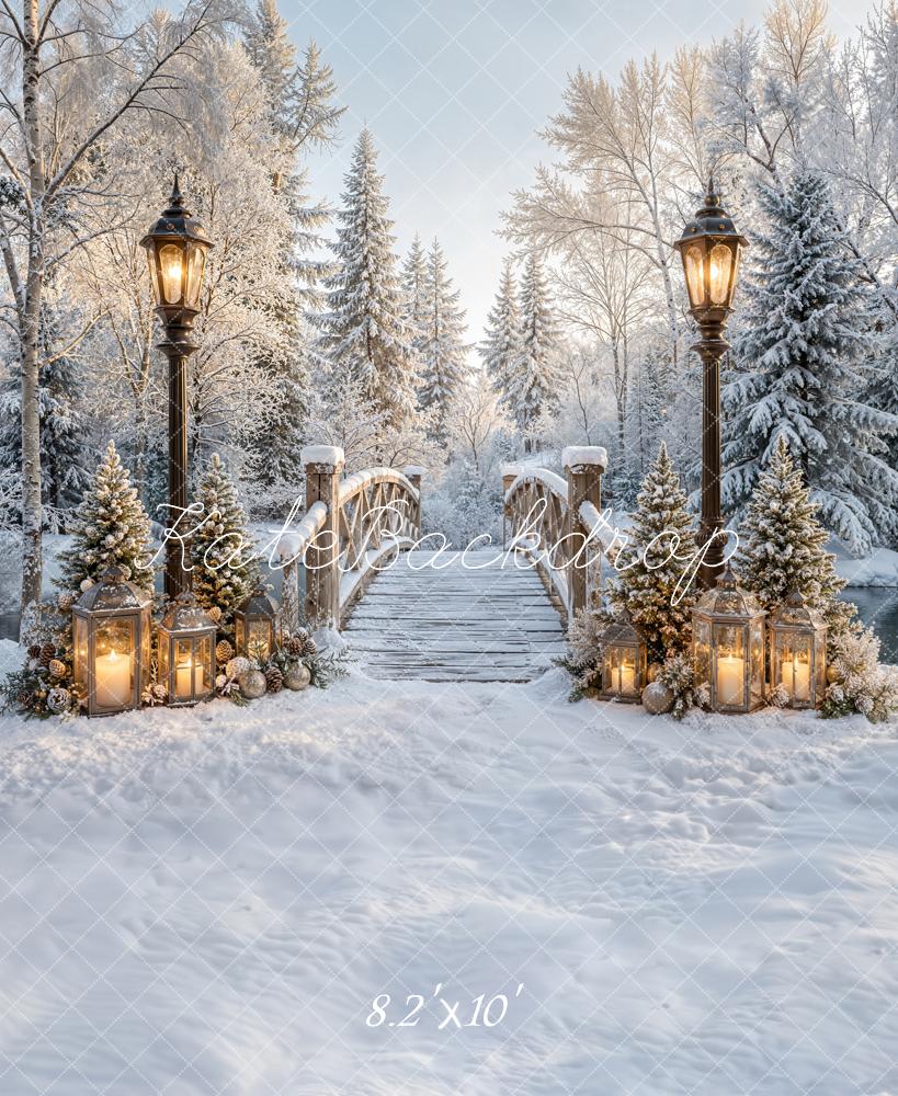 Kate Winter Bridge Path Snowy Lantern Forest Printed Backdrop Designed by Emetselch