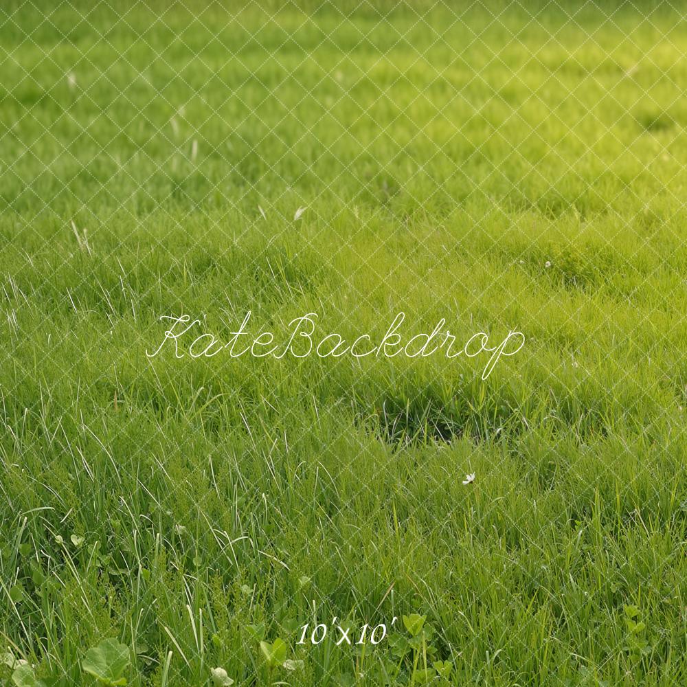 Kate Summer Green Grass Field Printed Backdrop Designed by Emetselch