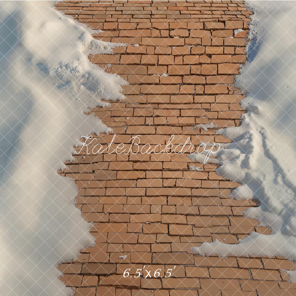 Kate Winter Brick Path Snow Floor Backdrop Designed by Emetselch