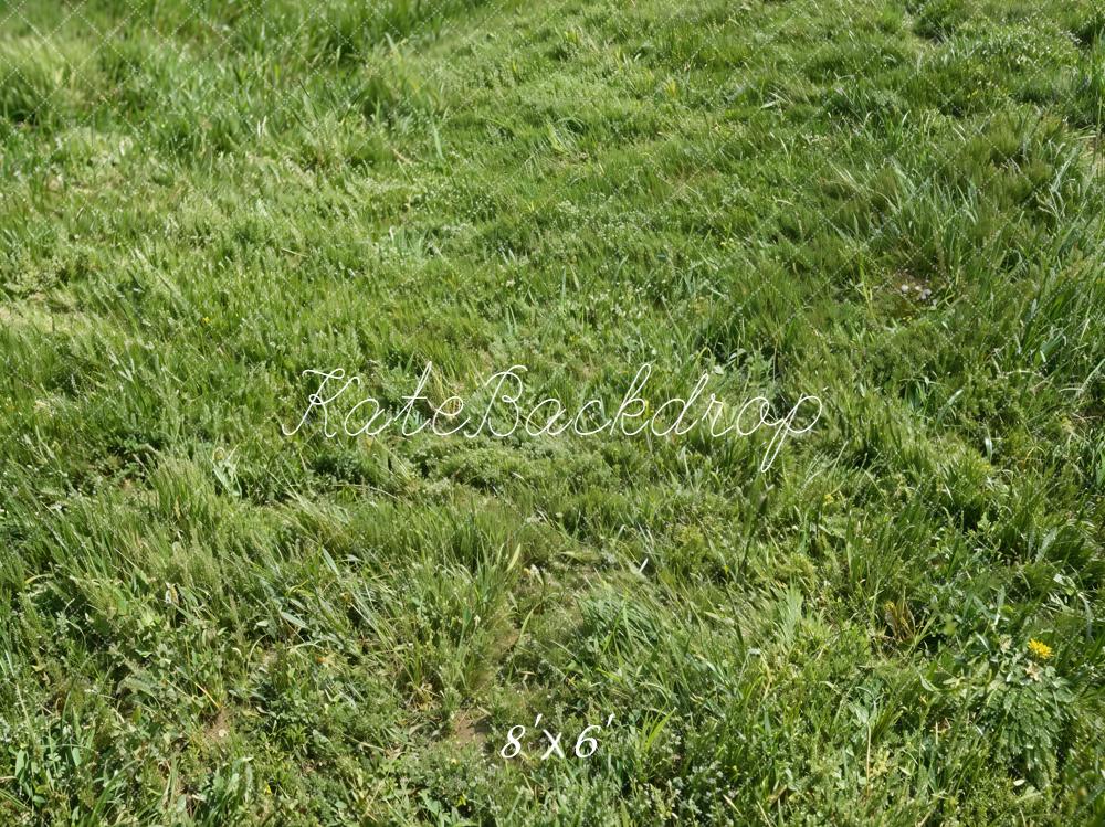 Kate Green Grass Field Printed Backdrop Designed by Kate Image