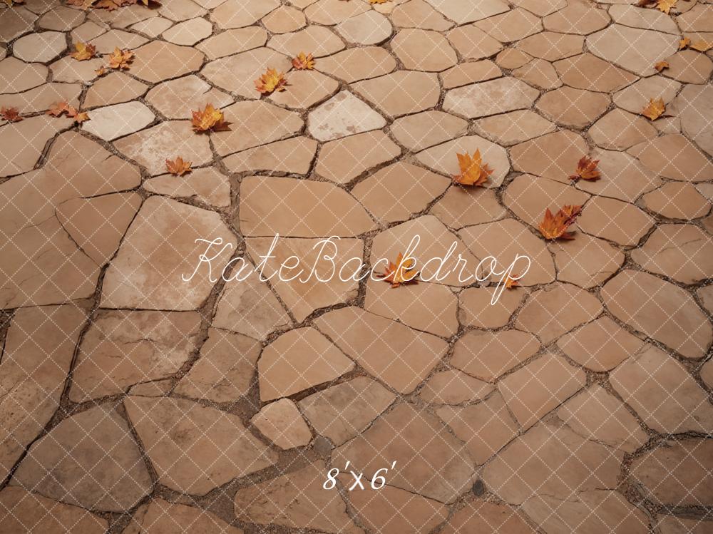 Kate Fall Leaves Cobblestone Floor Backdrop Designed by Emetselch