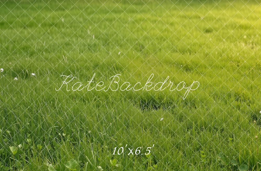 Kate Summer Green Grass Field Printed Backdrop Designed by Emetselch