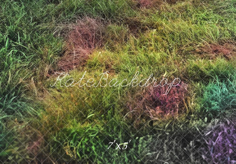 Kate Outdoor Rainbow Grass Floor Backdrop Designed by Mandy Ringe Photography