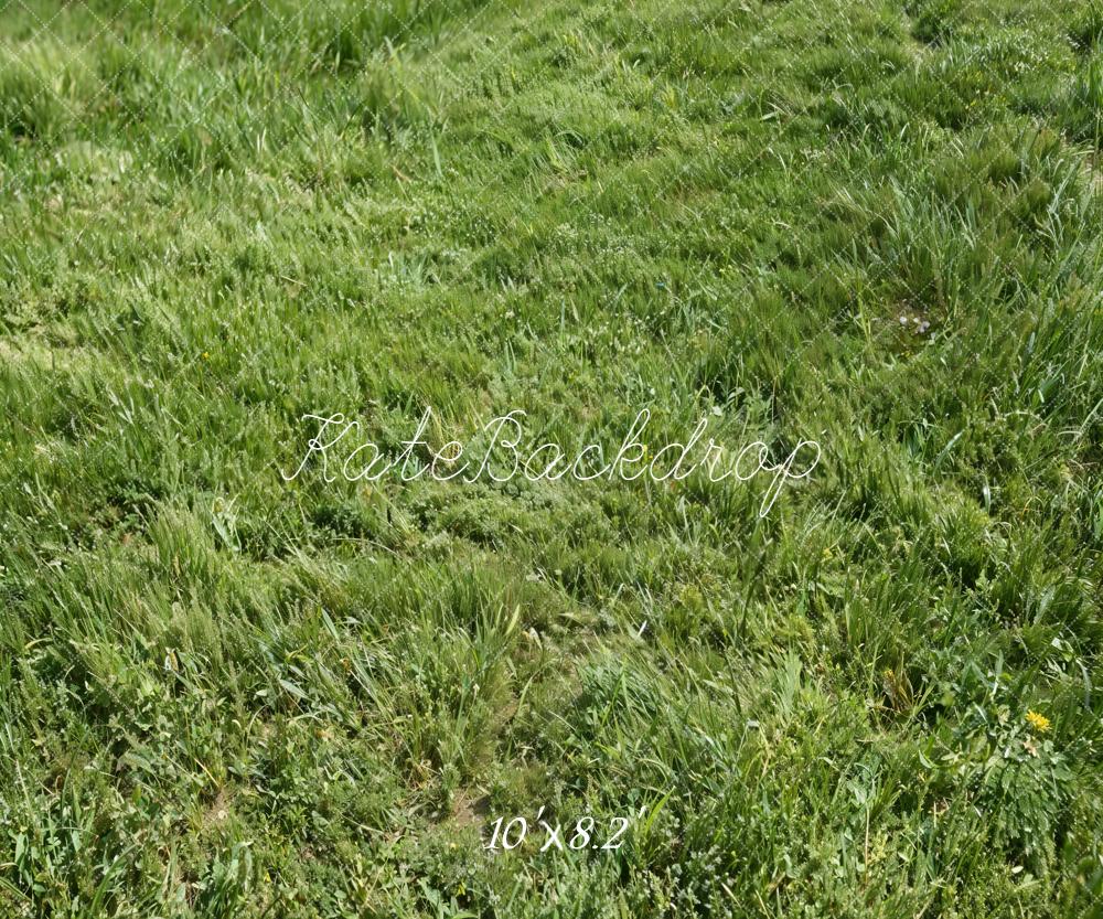 Kate Green Grass Field Printed Backdrop Designed by Kate Image