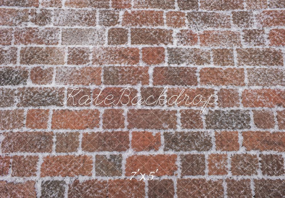 Kate Snowy Red Brick Wall Printed Backdrop Designed by Vertigo Productions