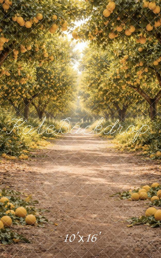 Kate Sweep Lemon Orchard Dirt Pathway Printed Backdrop Designed by Vertigo Productions