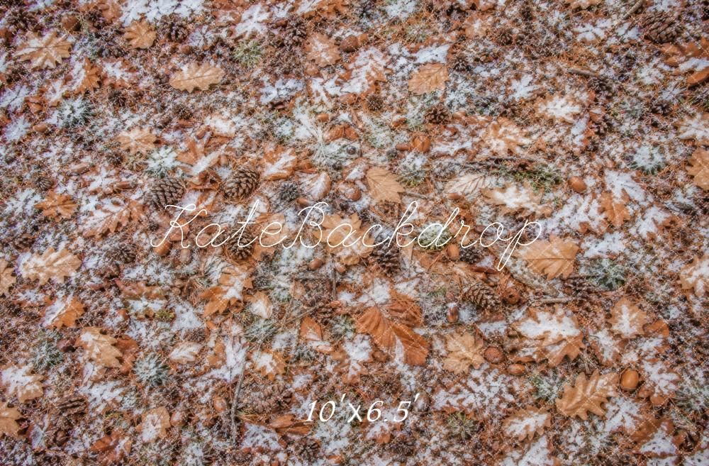 Kate Fall Leaves Pinecones Acorns Snow Floor Printed Backdrop Designed by Vertigo Productions