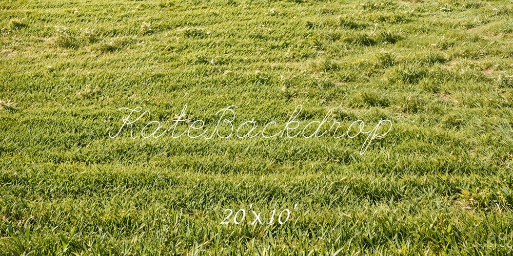 Kate Spring Green Grass Field Floor Backdrop Designed by Emetselch