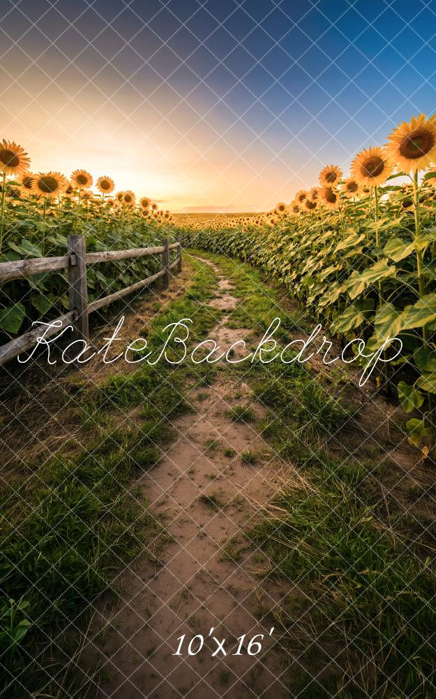 Kate Sweep Summer Sunflower Field Dirt Path Sunset Printed Backdrop Designed by Happy Squirrel Design