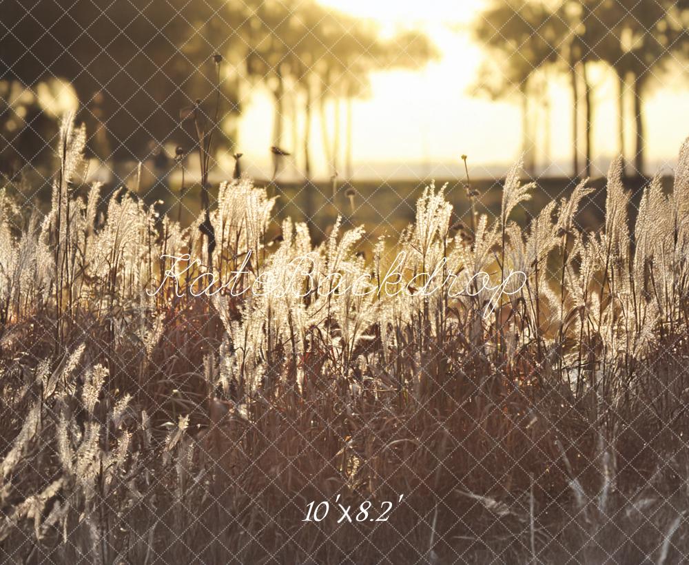 Kate Boho Outdoor Golden Sunset Field Backdrop Designed by Mandy Ringe Photography