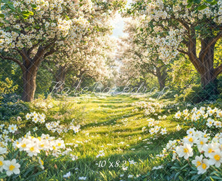 Spring Blossom Flowers Forest Foto Achtergrond Designed by Emetselch