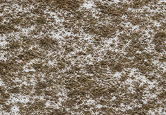 Kate Snowy Ground Dry Grass Floor Printed Backdrop Designed by Emetselch