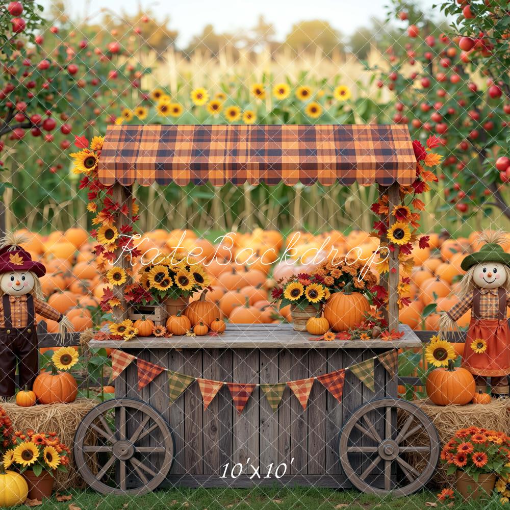 Kate Fall Pumpkin Stand Sunflower Scarecrow Field Printed Backdrop Designed by Mini MakeBelieve