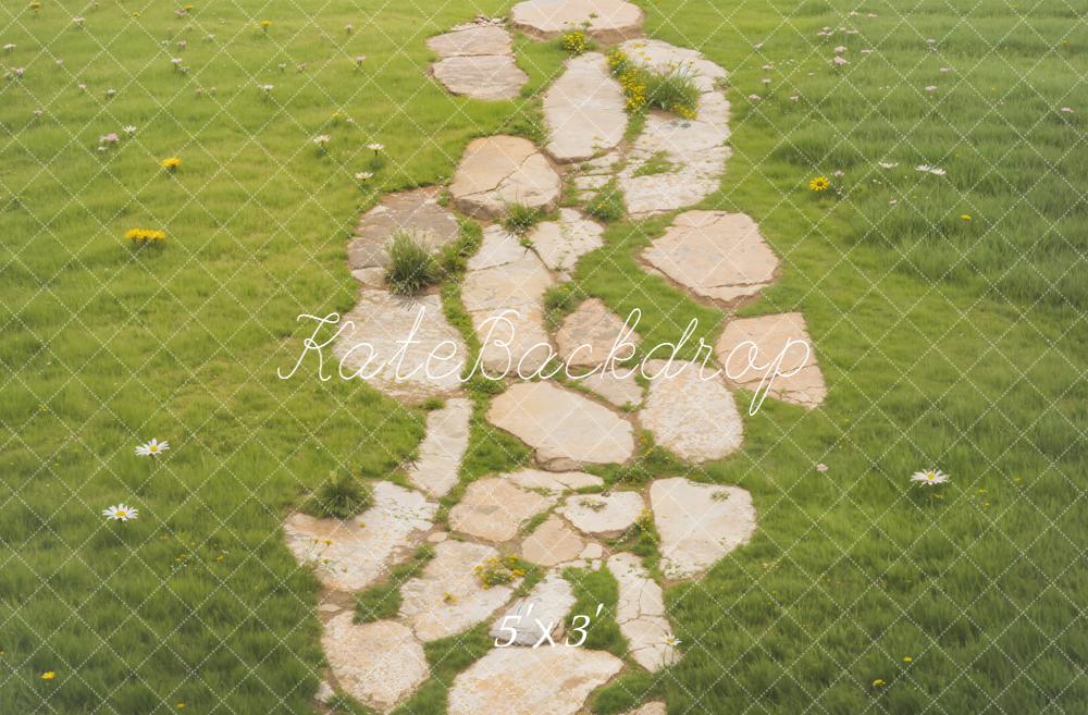 Kate Stone Pathway With Daisies On Green Grass Floor Backdrop Designed by Emetselch