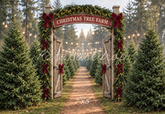 Bow Backdrops