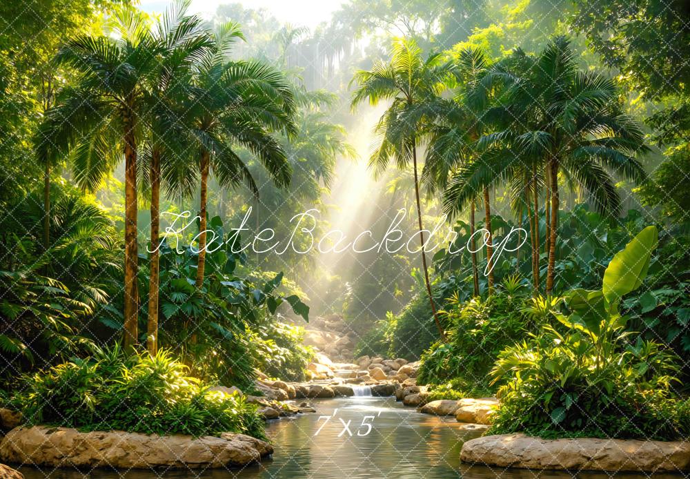 Kate Jungle Sun Rays Stream Rocks Printed Backdrop Designed by Mini MakeBelieve