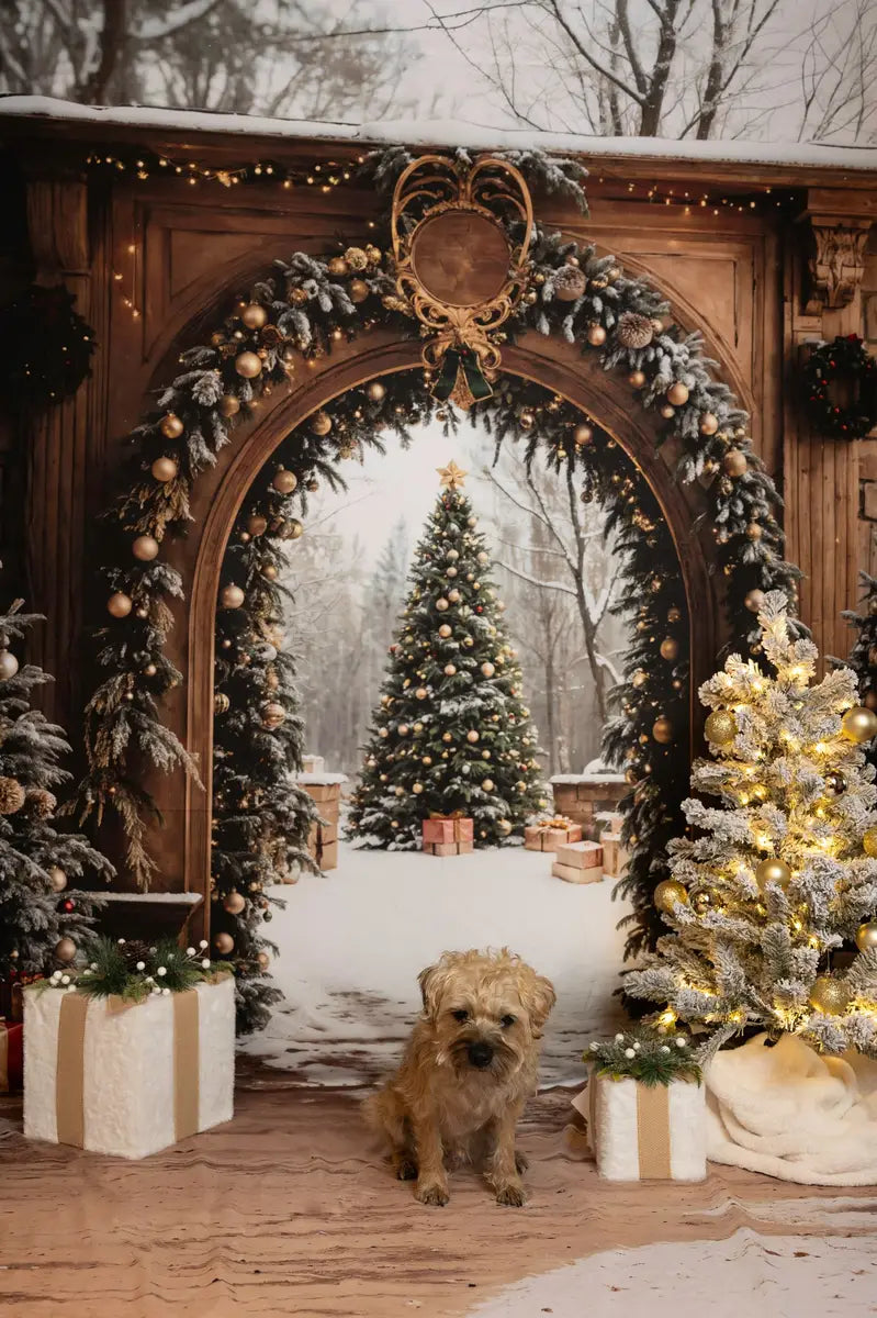 Fondo de arco retro de árbol de Navidad Designed by Emetselch