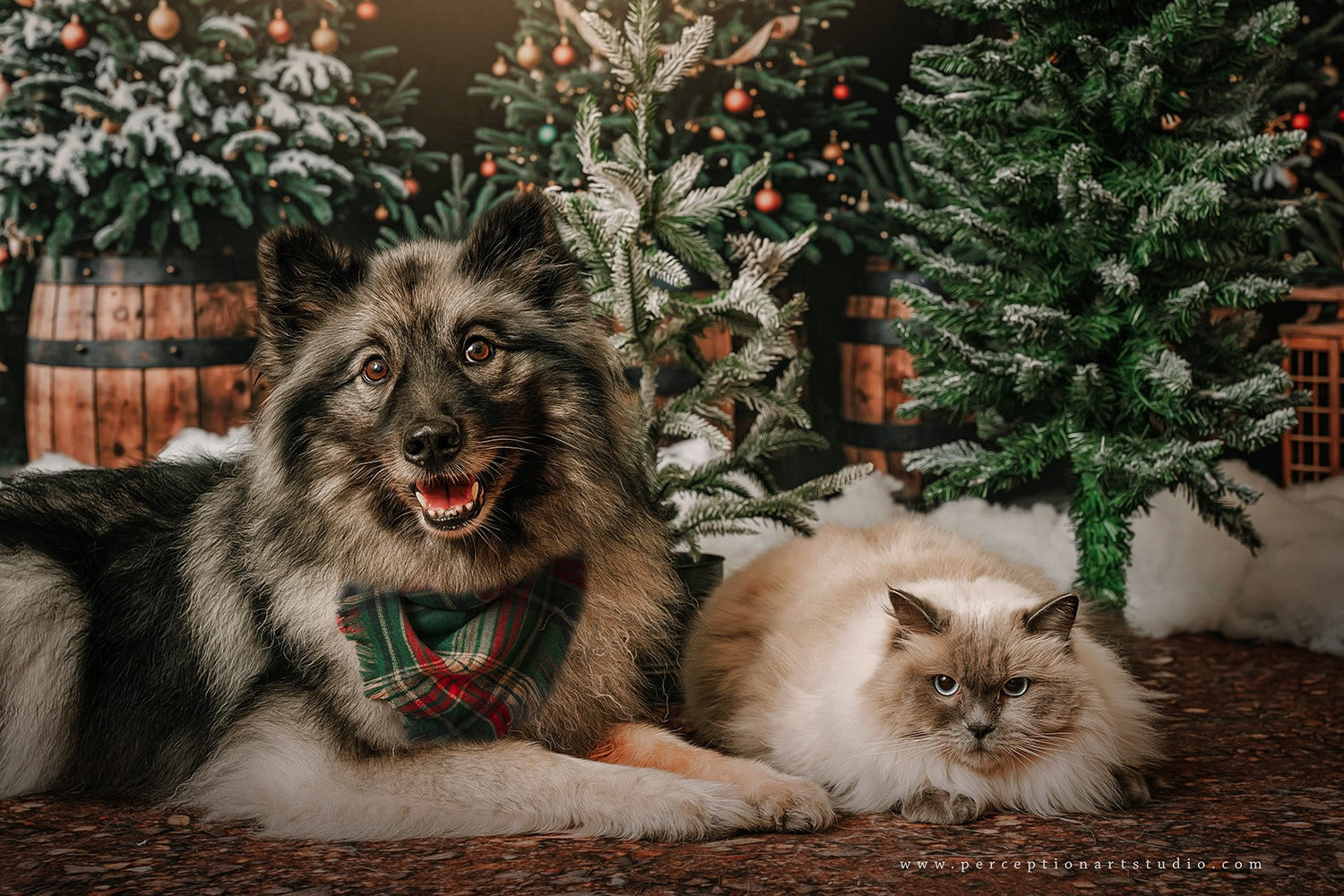 Kate Winter Dark Green Christmas Tree Forest Backdrop Designed by Emetselch