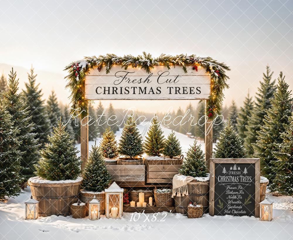 Kate Christmas Trees Stand Snowy Path Printed Backdrop Designed by Emetselch