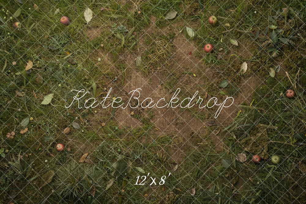 Kate Fall Fallen Apples On Grass And Dirt Floor Printed Backdrop Designed by Ashley Ward