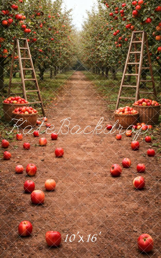 Kate Sweep Apple Orchard Path Ladders Baskets Printed Backdrop Designed by Vertigo Productions