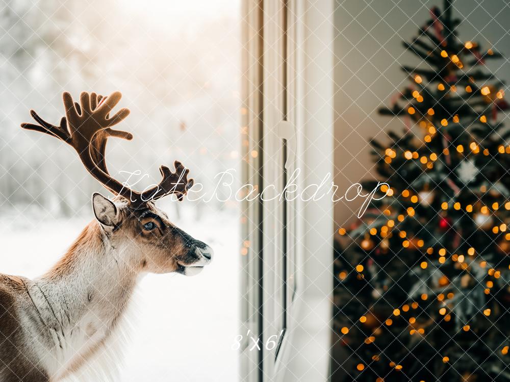 Kate Christmas Reindeer Window Tree Lights Backdrop Designed by Kerry Anderson
