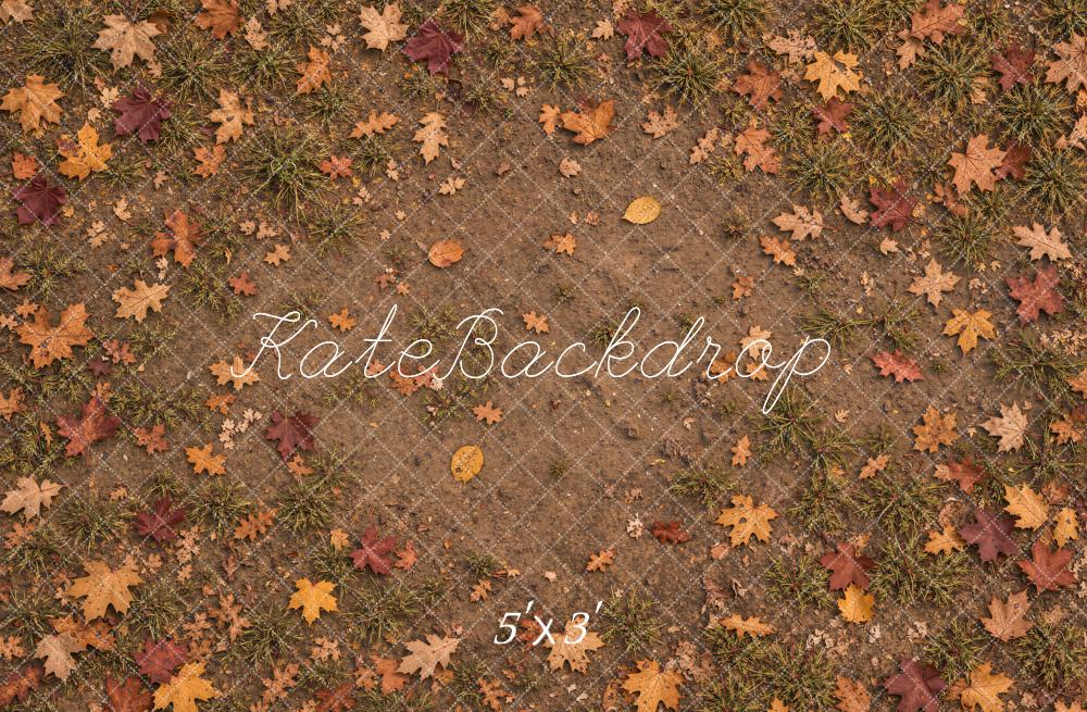Kate Fall Leaves Grass Ground Floor Printed Backdrop Designed by Emetselch